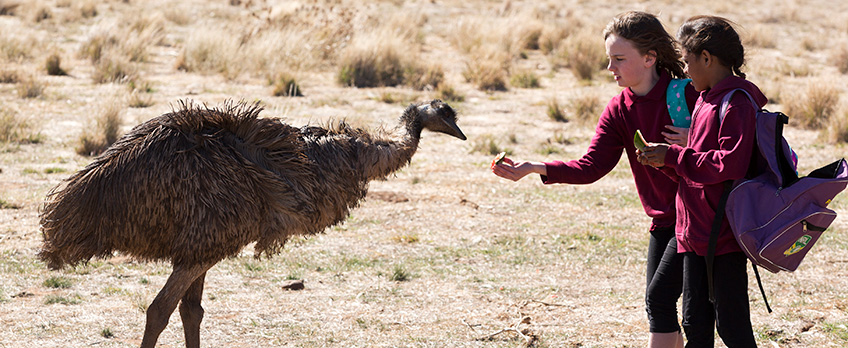 Emu Runner