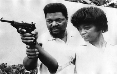 negroes with guns: rob williams and black power